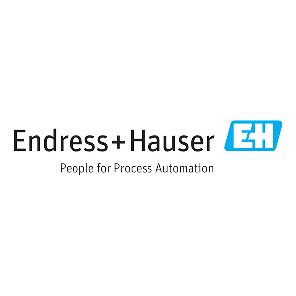 Logo: Endress + Hauser