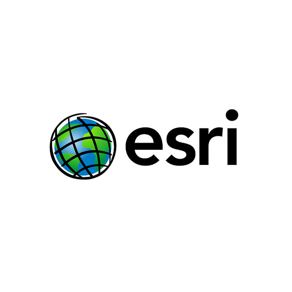 Logo: esri